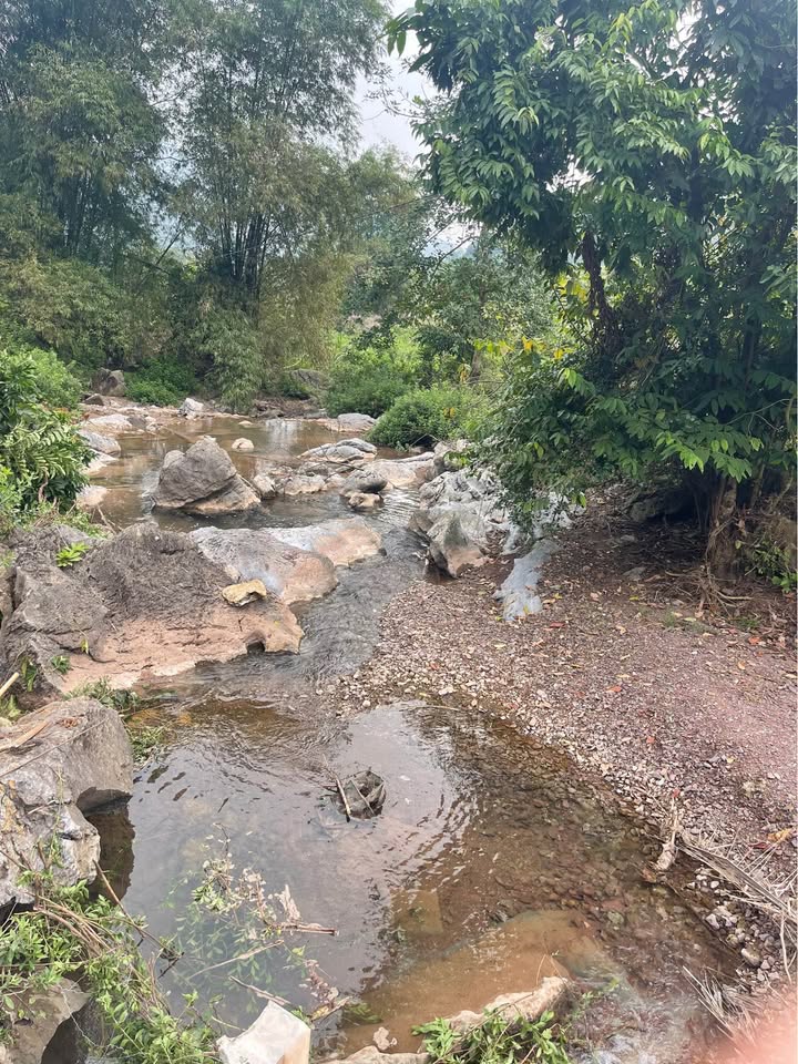 Đất nền Phú Thọ 2747m² - View suối đẹp, giá đầu tư chỉ từ Xxx nghìn/m²