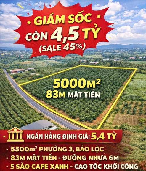 Bán Gấp Đất Vàng 5000m² Bảo Lộc - 83m MT 6 Tỷ, Giảm Sốc Còn 4.5 Tỷ