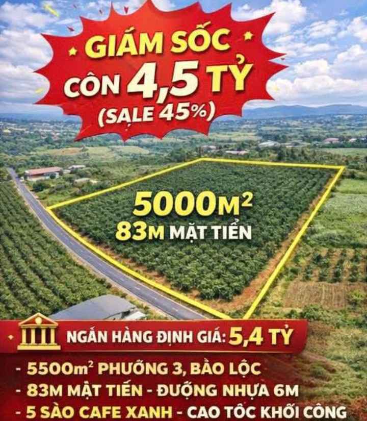 Bán Gấp Đất Vàng Bảo Lộc 5000m² Mặt Tiền Blaosire 83m - Giá Sập Hầm!