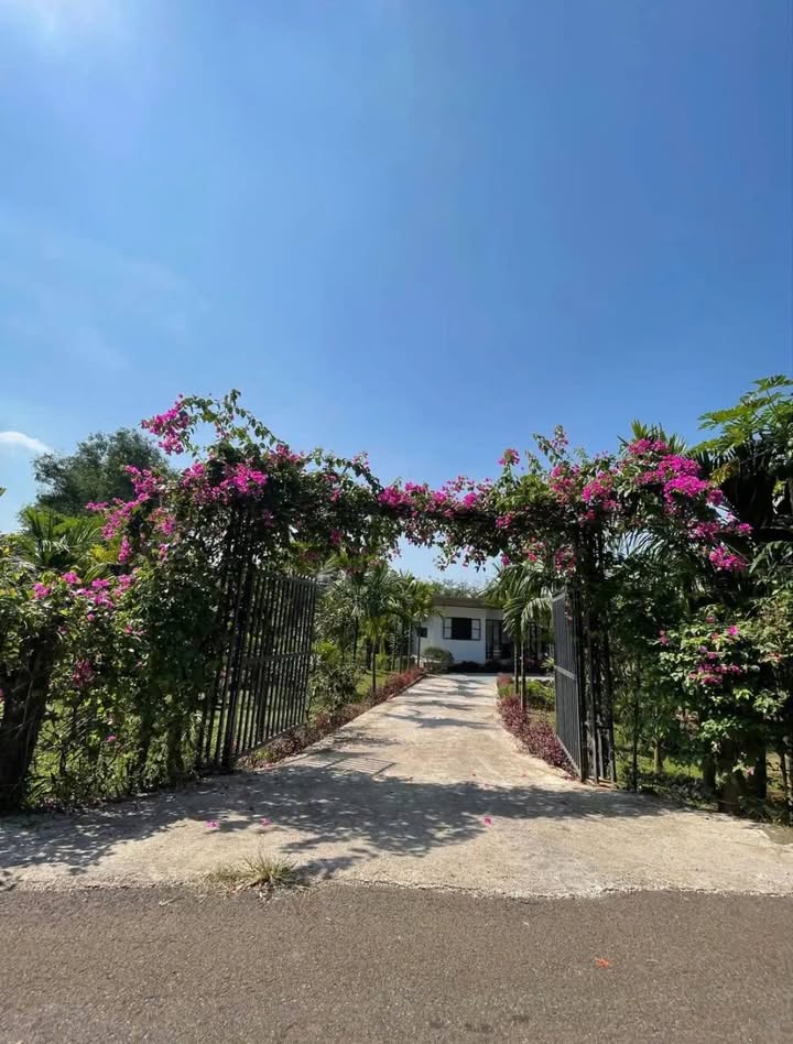 Đất Vườn 1000m² Sổ Thổ Cư Bình Chánh - Kinh doanh/An cư lý tưởng