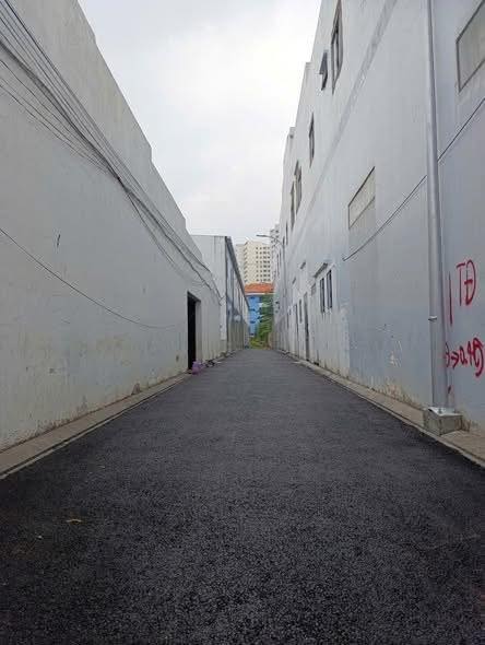 Đất Nền Hẻm 1433 Tỉnh Lộ 10, Bình Tân - 50m² - 3.7 Tỷ - Sẵn Sổ