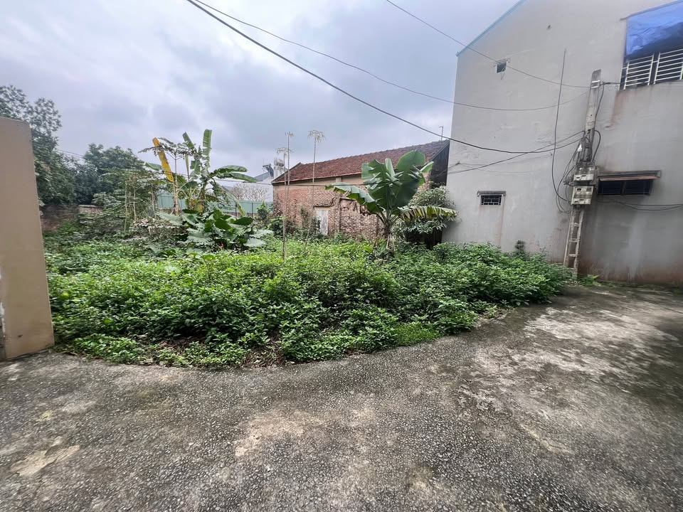 Bán Đất Thổ Cư 262m² Chương Mỹ, Hà Nội - Sổ Đỏ Sẵn Sàng