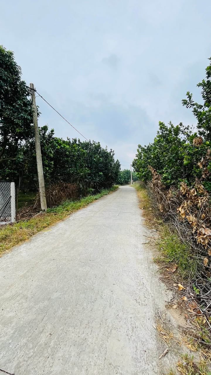 Đất Vườn 1002m² Sổ Riêng Phú Hòa, Đồng Nai - Giá 900 Triệu