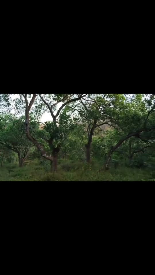 Đất nền Đồng Tâm, Đồng Phú 8927m² - Tiềm năng tăng giá vượt trội!