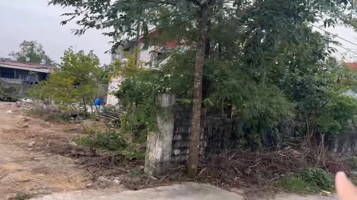 Đất nền Nguyên Bình Nghi Sơn 138m² - Tiềm năng tăng giá vượt trội!