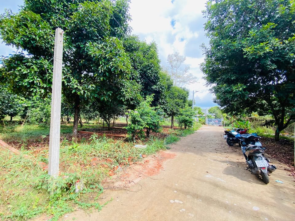 Đất nền sổ hồng thổ cư 118m² Bình Lộc, Long Khánh - Giá chỉ 8xx triệu