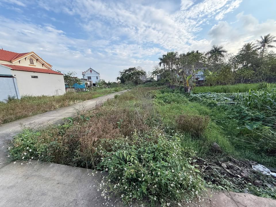 Đất Chương Mỹ 51.7m² - Sổ đỏ chính chủ, ô tô vào tận nơi