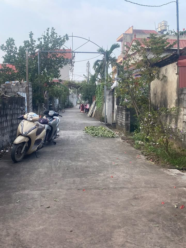 Đất Vàng Phú Xuyên 144m² - Ngõ Ô Tô Sẵn Sàng Đầu Tư Sinh Lời