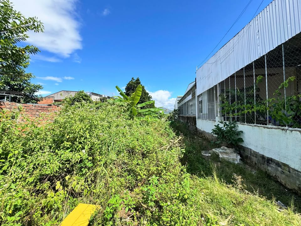 Đất Nền Lâm Hà - 273m² Mặt Tiền Lê Lợi, Sổ Riêng, Giá 1.4 Tỷ