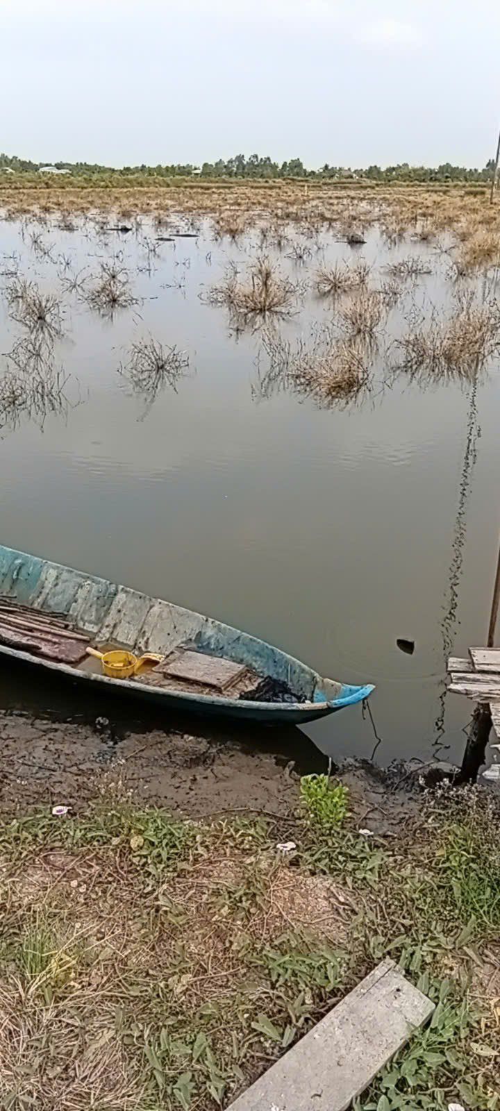 Bán Đất Tôm Lúa 25.000m² Mặt Tiền Rộng Tại An Biên, Kiên Giang