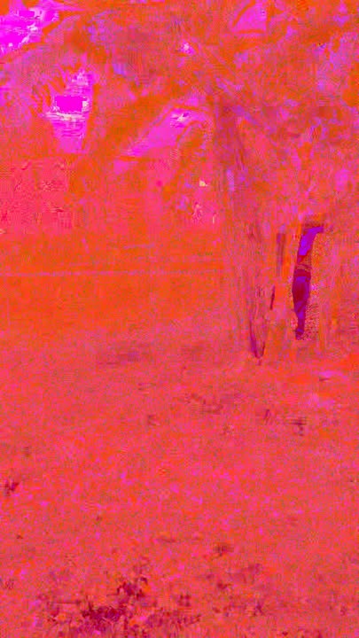 Đất nền Phượng Lâu Việt Trì 106m² giá 2 tỷ - Sổ đỏ chính chủ