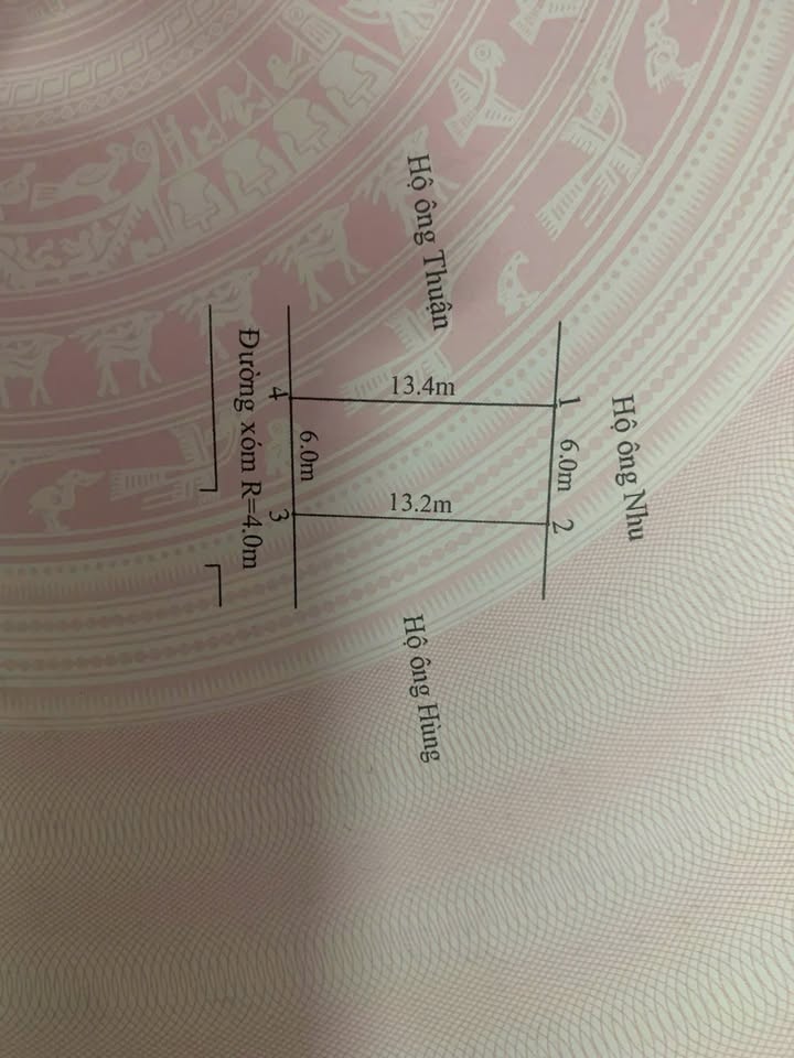 Đất nền Tân Dân Sóc Sơn 79m² giá 999 triệu - Sổ đỏ chính chủ!