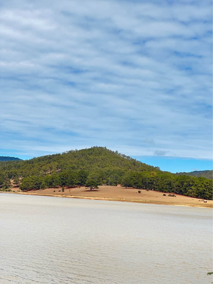 Đất mặt tiền 19/5 Phường 7 Đà Lạt 300m² 9 tỷ - Đường to ô tô