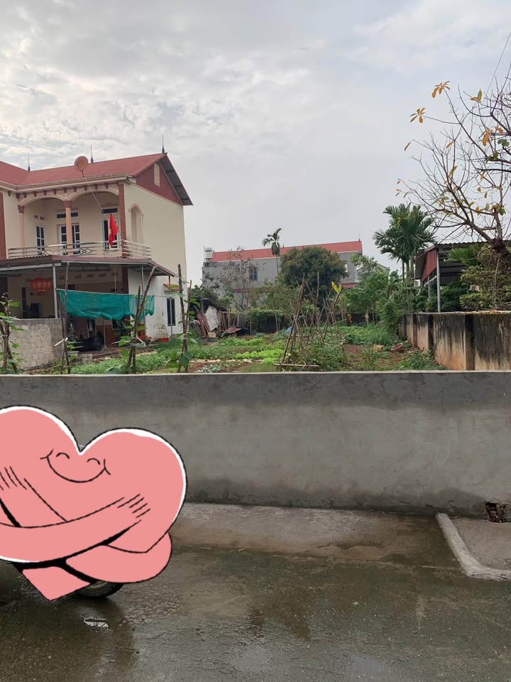 Đất nền 151m² Gia Bình, Bắc Ninh - Sổ đỏ sẵn, giá đầu tư