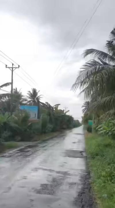 Bán Gấp 2 Nền Đất 150m² Lương Hòa Lạc, Đồng Tháp - Sổ Đỏ Full Thổ Cư