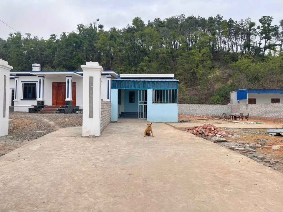 Đất nền 60m² Việt Khê, Thuỷ Nguyên - Giá chỉ 450 triệu, SHR, ô tô vào nhà