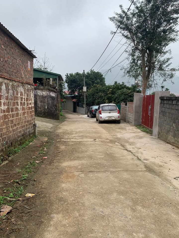 Đất thổ cư 210m² xã Tân Minh, Thanh Sơn - Sổ hồng sẵn, giá tốt