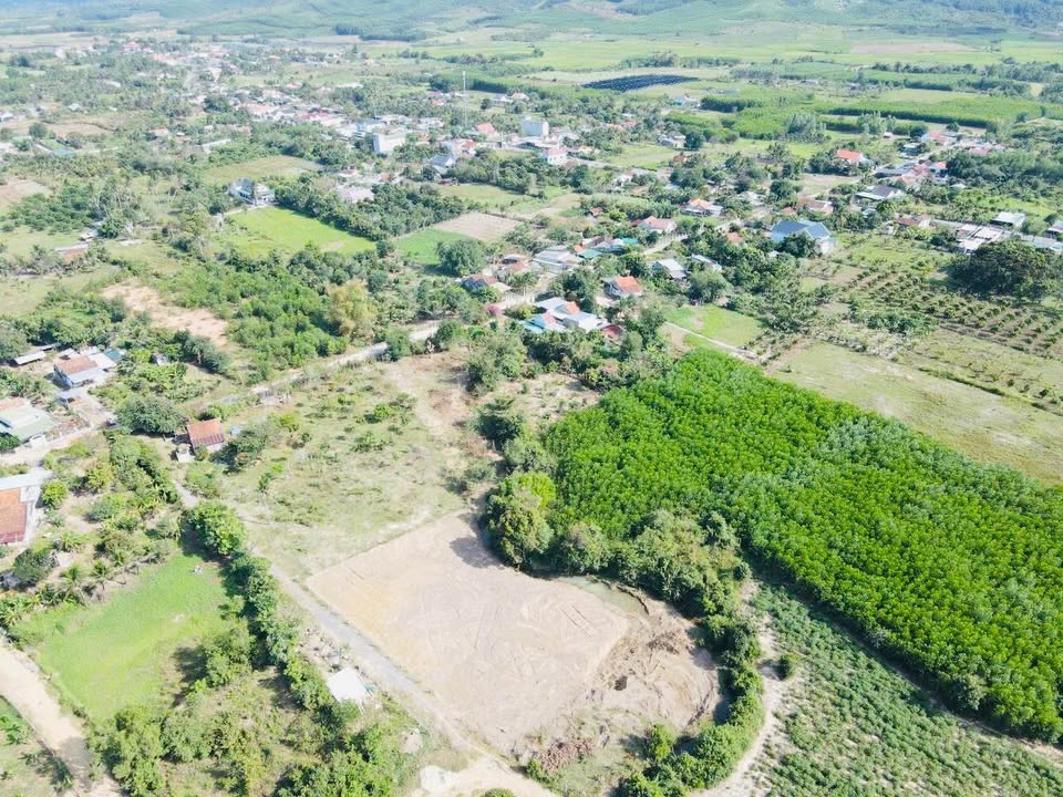 Đất Nền Ninh Hòa 200m² Full Thổ Cư - Sổ Đỏ Riêng Chỉ 299 Triệu