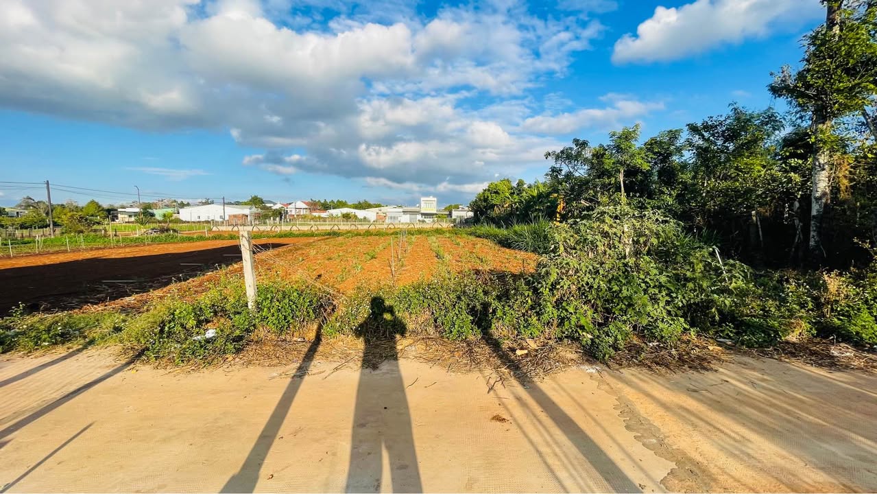 Đất nền An Phú Pleiku 150m² giá 7xx triệu - Sổ đỏ chính chủ