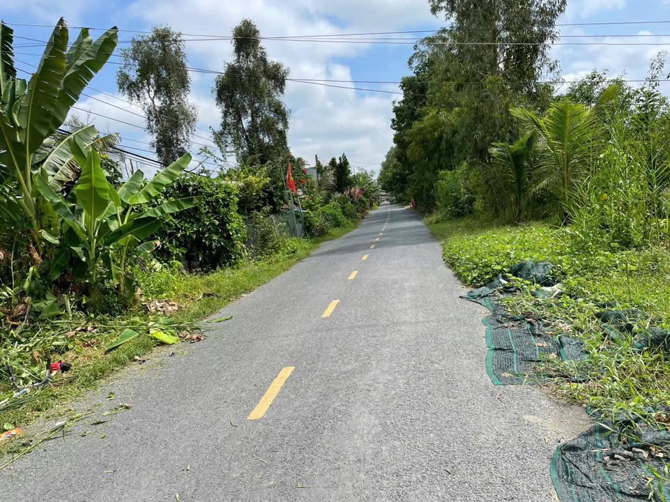 Đất Nền Mặt Tiền Huyện Lộ 3, Đồng Tháp - 208m² Giá Tốt