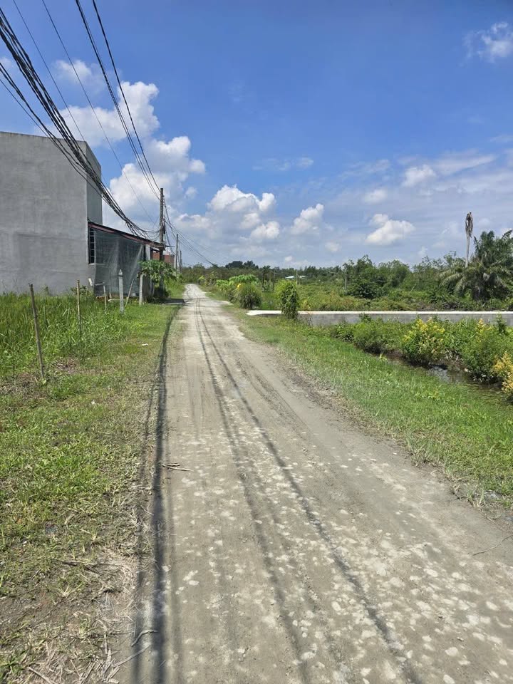 Đất nền Hựu Thạnh, Đức Hòa 85m² giá 800 triệu - Sổ hồng chính chủ