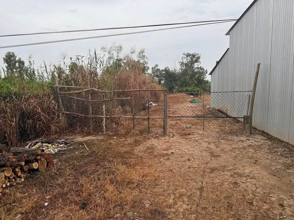 Đất nền Long Thạnh 333m² - Sổ đỏ chính chủ, mặt tiền kinh doanh!