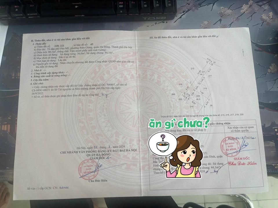 Đất nền 36m² Quang Trung, Hà Đông – Tiềm năng tăng giá vượt trội!