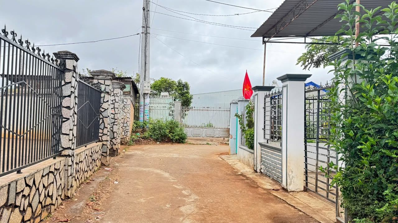 Đất nền Lý Nam Đế Pleiku 130m² giá 1.2 tỷ - Sổ đỏ chính chủ!