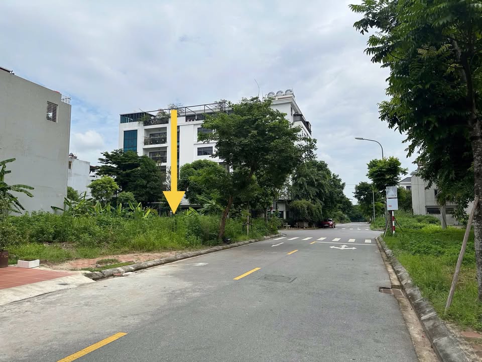 Đất nền Tân Hồng, Từ Sơn 100m² giá 1 tỷ - Sổ đỏ chính chủ