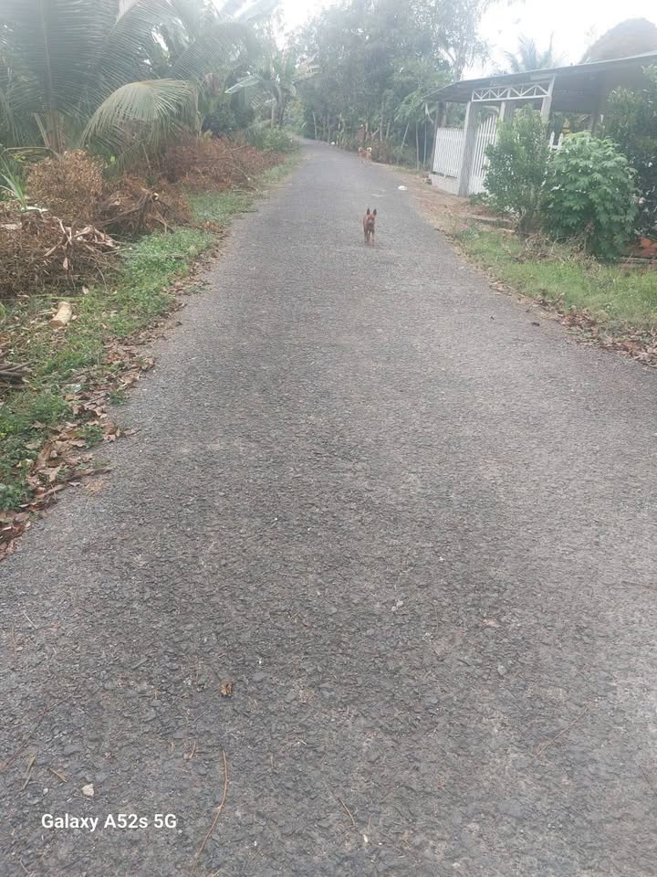 Đất nền Xã Hòa Tịnh, Mang Thít 111m² 275 triệu - Sổ đỏ chính chủ