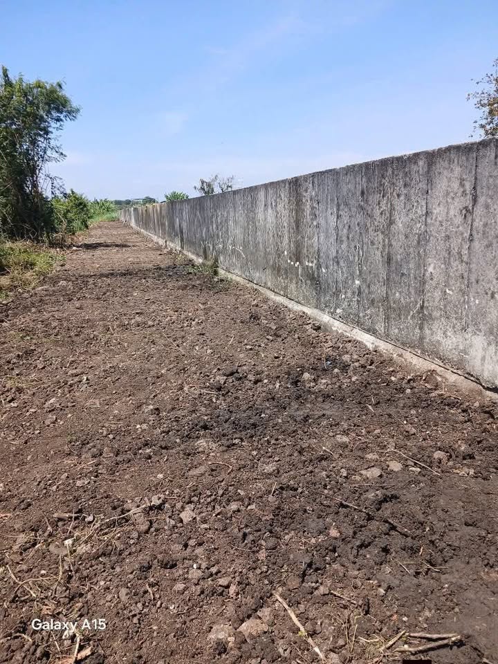 Bán Gấp Đất Nền Châu Đức 560m² Sổ Hồng Riêng - Giá Đầu Tư 390 Triệu