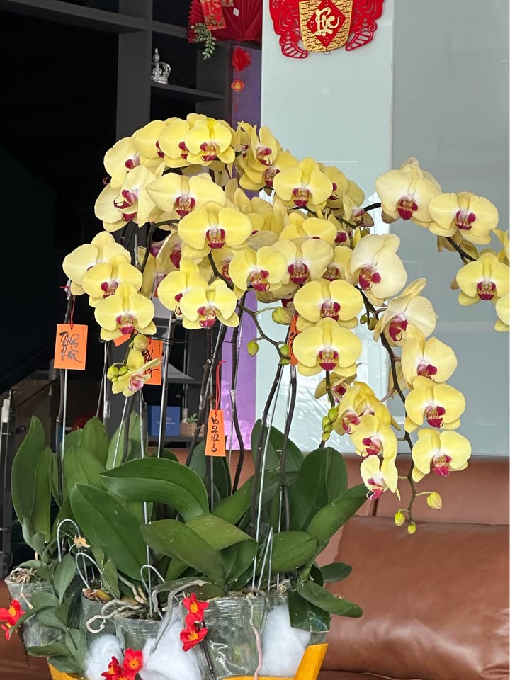 Đất nền Xã Đá Bạc, Châu Đức 2700m² - Pháp lý rõ ràng!