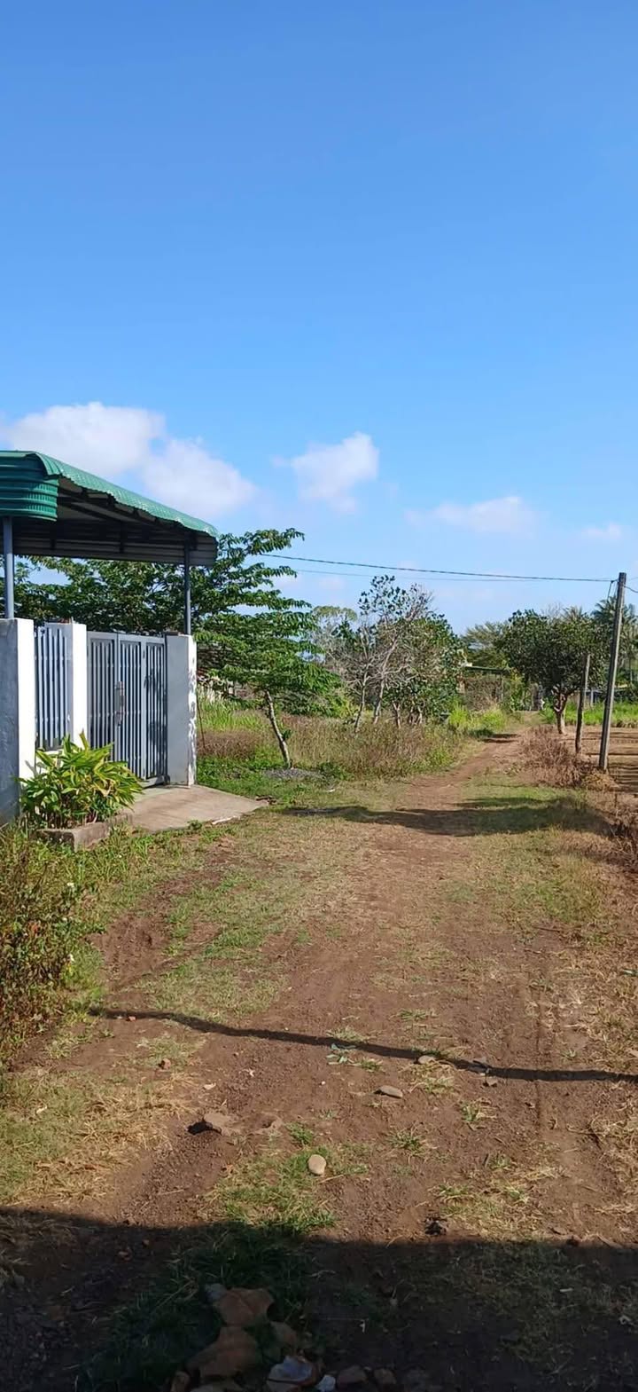 Đất Nền Phước An Krông Pắc 170m² - Sổ Đỏ Chính Chủ, Giá Tốt