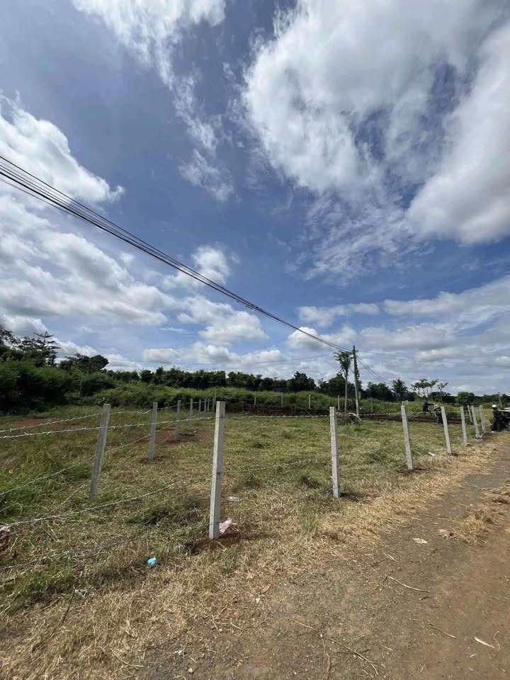 Đất nền Ea Yông, Đắk Lắk - 300m² Full thổ cư, Giá 530 triệu, View ruộng thoáng đãng