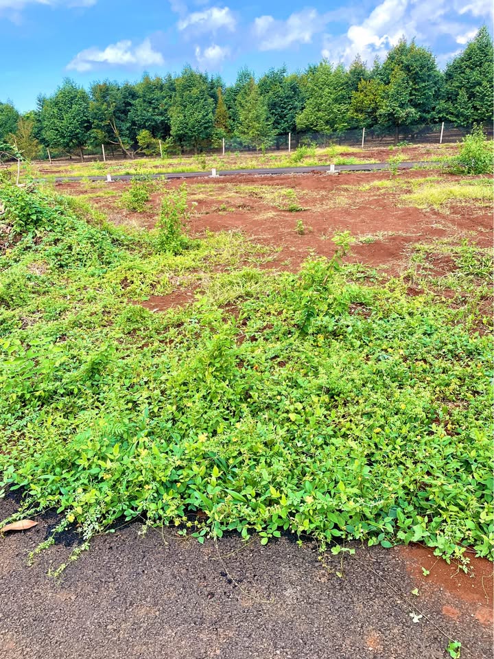 Đất Nền 2 Mặt Tiền Long Khánh - Sổ Hồng Thổ Cư 200m²