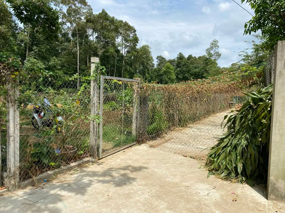 Đất vườn Trà Vinh 1800m² - Cơ hội đầu tư dài hạn!