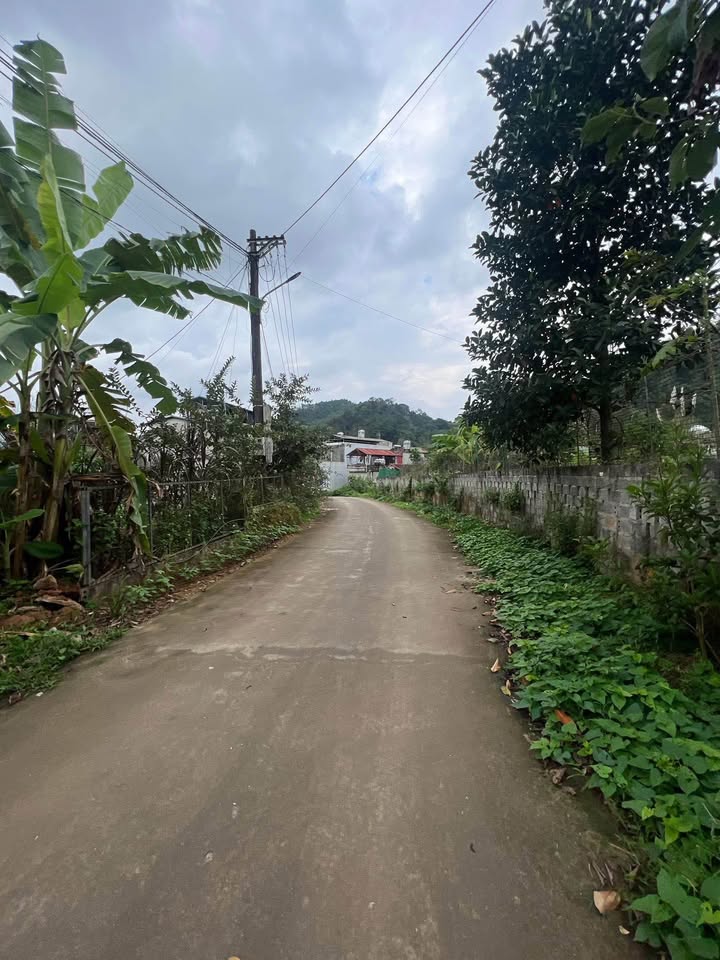 Bán đất Xuân Thủy, Hà Giang 100m² - Mặt tiền 5m, sổ đỏ chính chủ