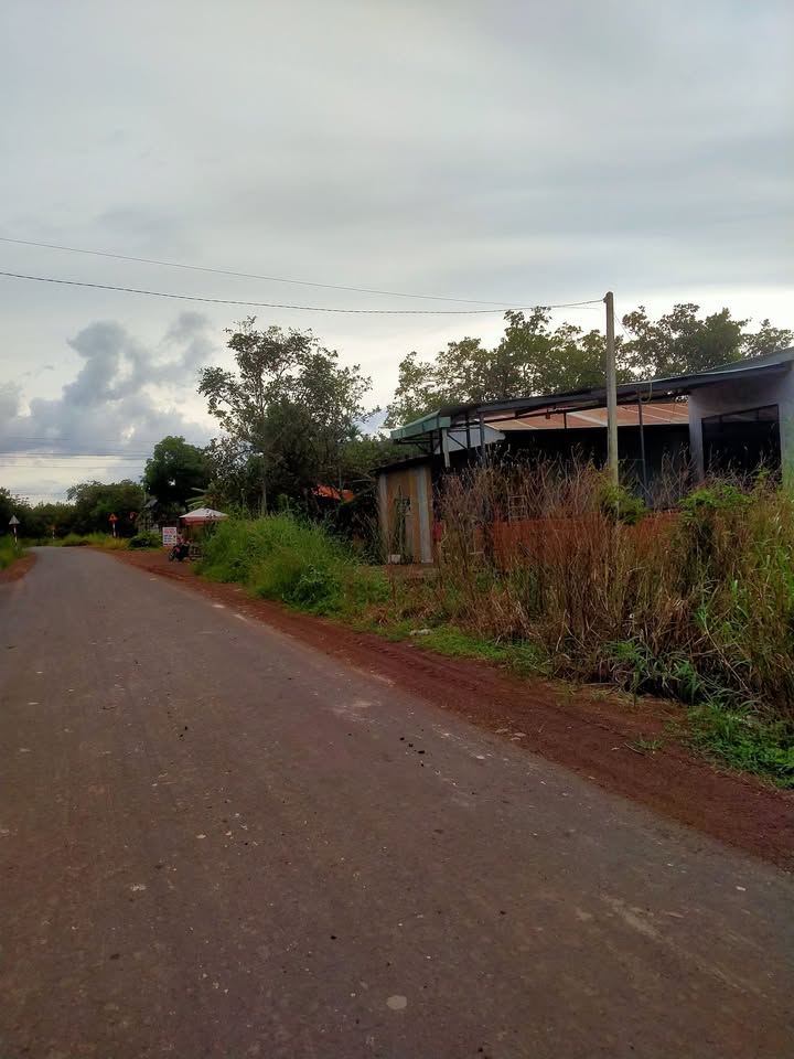 Đất vườn Tiến Thành 4ha - Nghỉ dưỡng lý tưởng, giá tốt bất ngờ!