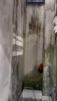 Nhà Nguyên Căn 2PN Xã Tiến Hưng, Đồng Xoài - Giá 4 Triệu/Tháng