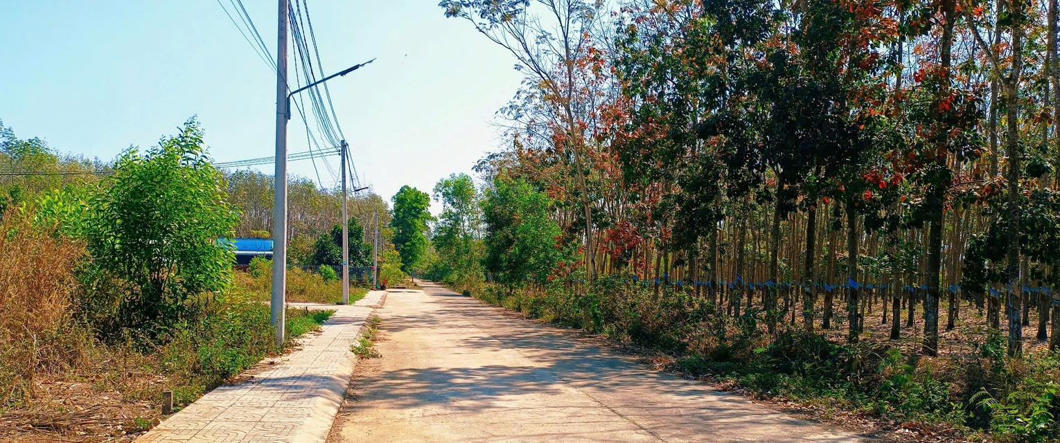 Đất Nền 178.6m² Đồng Phú, Bình Phước - Bán Gấp Giá Tốt