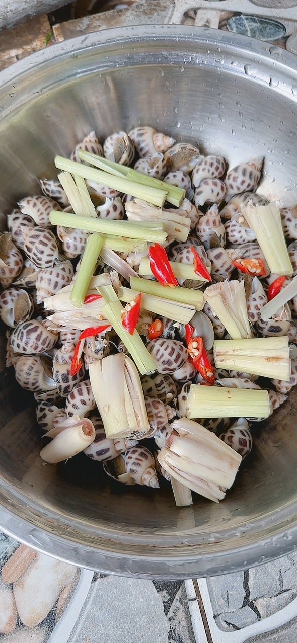 Đất Phước Lâm Nhà Bè 168m² - Sổ hồng sẵn, giá F0 chỉ 1.1 tỷ