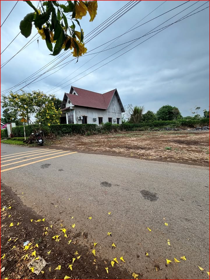 Đất nền Sông Trầu 110.9m² - Sổ đỏ chính chủ, xây dựng tự do!