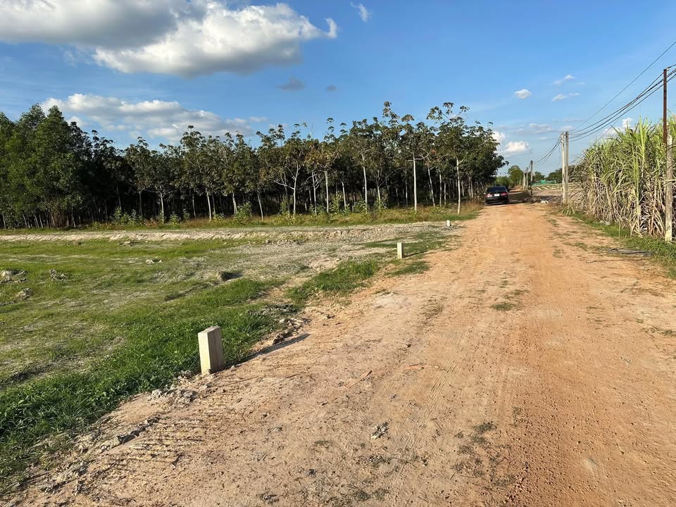 Đất nền Thành Long, Châu Thành 1000m² - Sổ đỏ chính chủ, bán gấp!