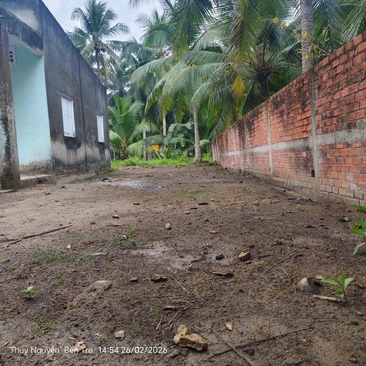 Đất nền An Thạnh, Mỏ Cày Nam 128m² - Sổ sẵn, 480 triệu