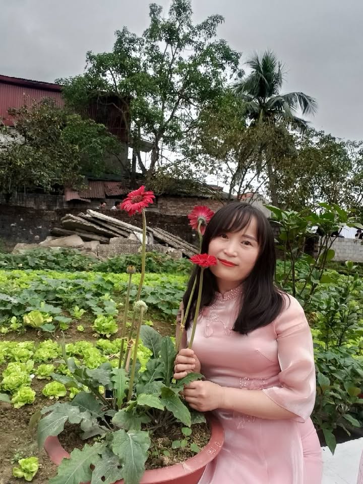 Đất nền Quảng Phú, Thanh Hóa 90m² - Sổ đỏ sẵn, đầu tư sinh lời