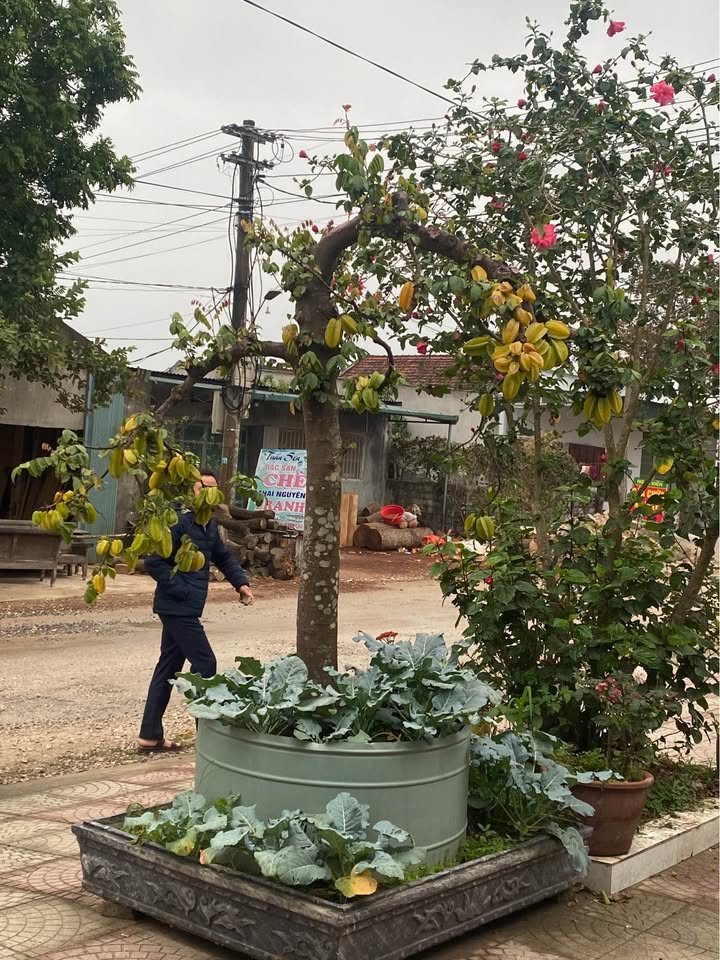 Bán Gấp Nhà 100m² Ngọc Trạo, Bỉm Sơn - Xe Hơi Vào Nhà, Giá 1 Tỷ