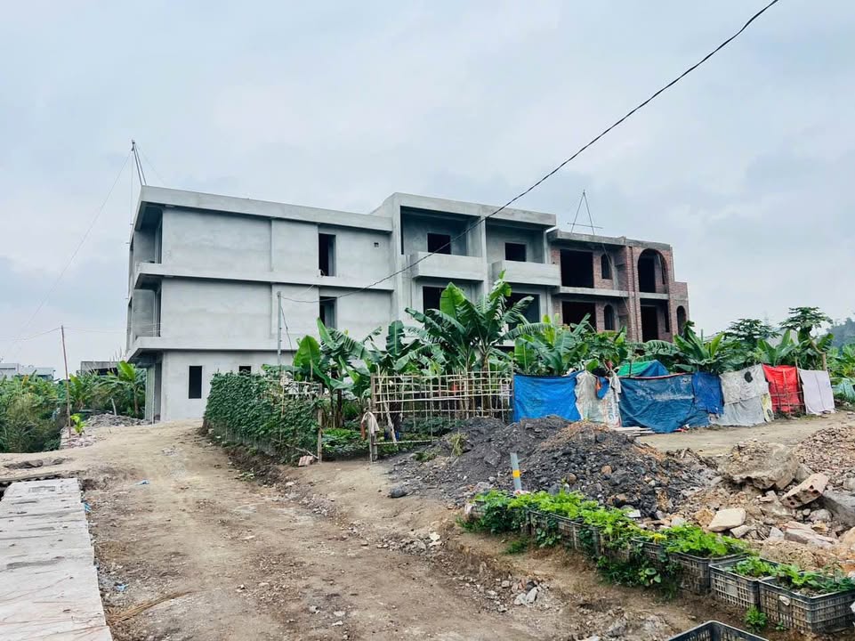 Bán Gấp Nhà 3 Tầng 52m² Cao Xanh, Hạ Long - 3.3 Tỷ, Ô Tô Tận Cửa