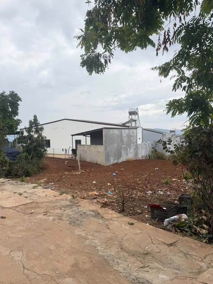 Đất Thổ Cư 238m² Hẻm Y Moan, Buôn Ma Thuột - Sổ Riêng, Giá 2.55 Tỷ