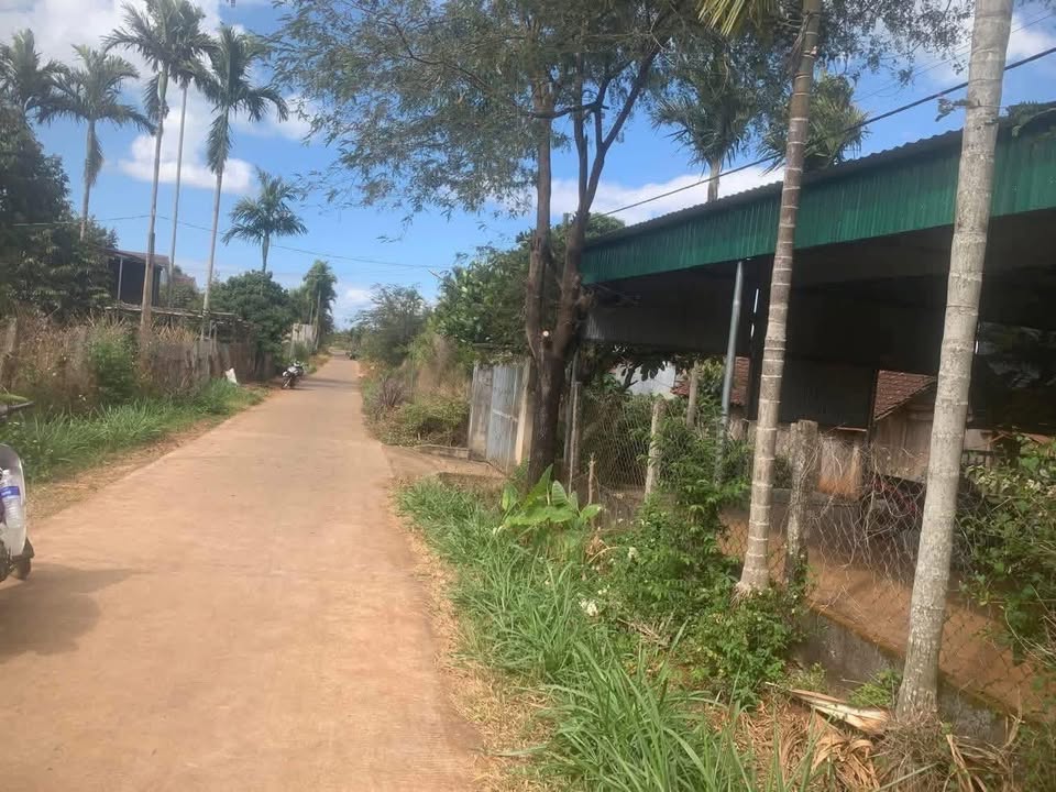 Đất nền Ea Tar, Cư M'gar 310m² - Đất thổ cư, giá 124 triệu!