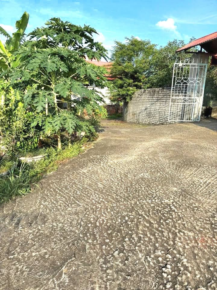 Đất Lô Góc 107m² Đại Đồng, Bắc Ninh - Giá Rẻ Cho Nhà Đầu Tư